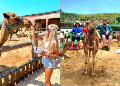 Gran Canaria Camel Riding