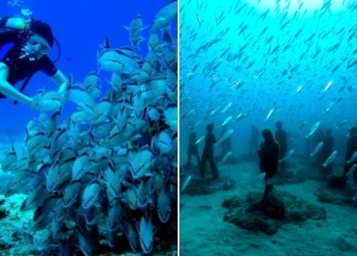 Diving in Lanzarote