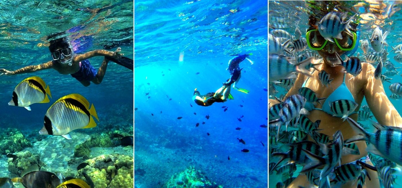 Wo Kann Man Auf Fuerteventura Am Besten Schnorcheln