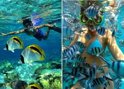 Snorkelling in Fuerteventura